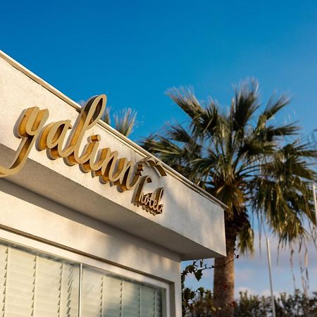 Yalinn Boutique Hotel Yalikavak Bagian luar foto