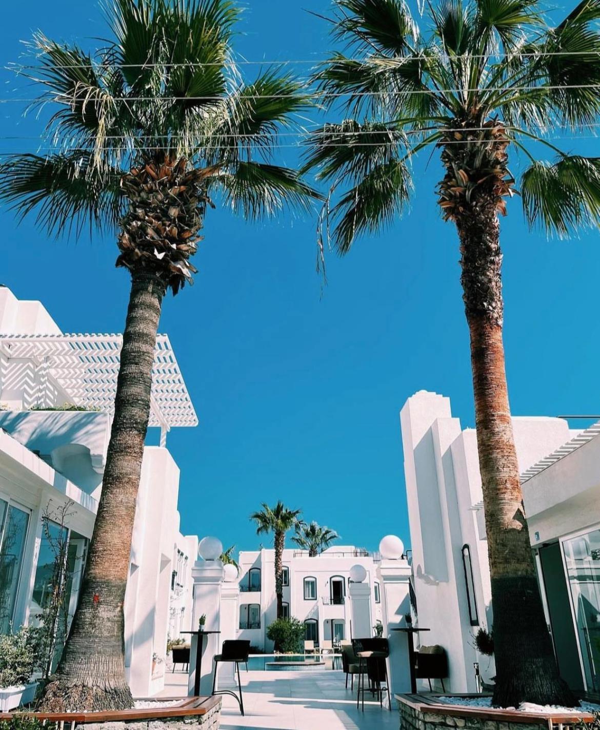 Yalinn Boutique Hotel Yalikavak Bagian luar foto